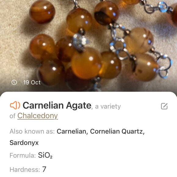 Genuine Earthy Carnelian Agate Short Necklace, Gemstone & Leaf Branch Pendant - Picture 14 of 15